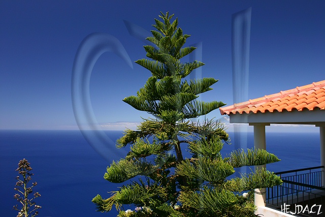 Hotel Jardim Atl�ntico s Araucaria