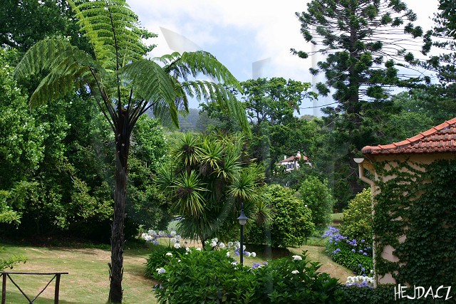 Blandy's Garden - Casa Velha