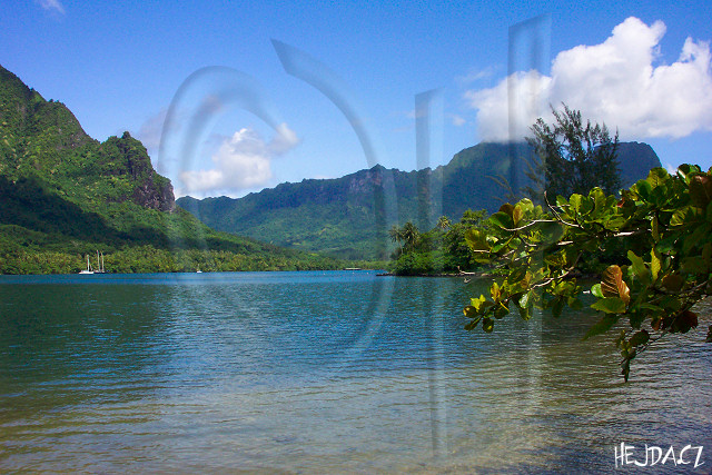 Opunohu Bay