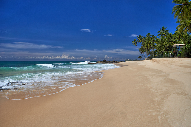 pl� v Unawatuna