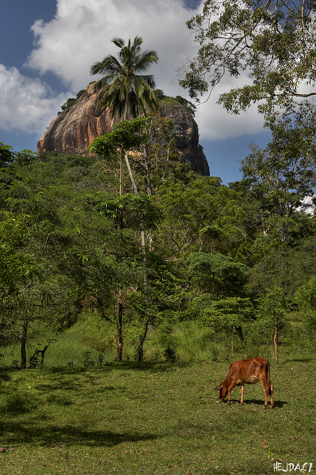 sk�la Sigiriya