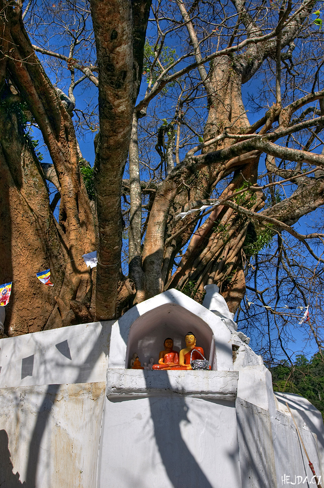 Wel Bodhiya - Kandy
