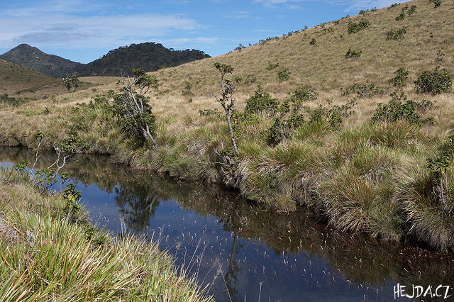 Horton Plains