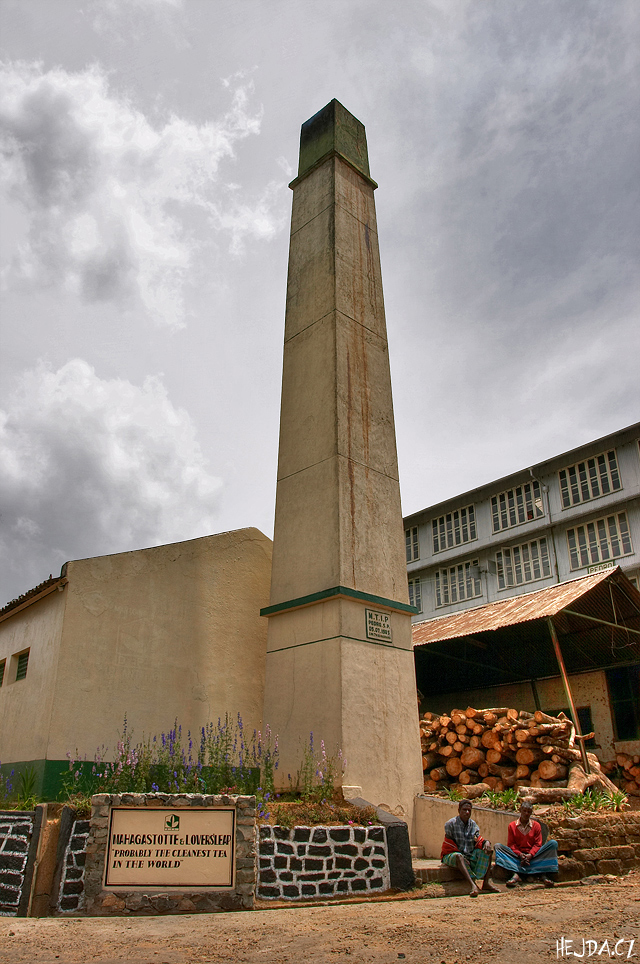 Pedro Estate Tea Factory