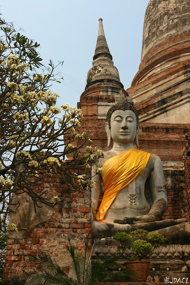 budha